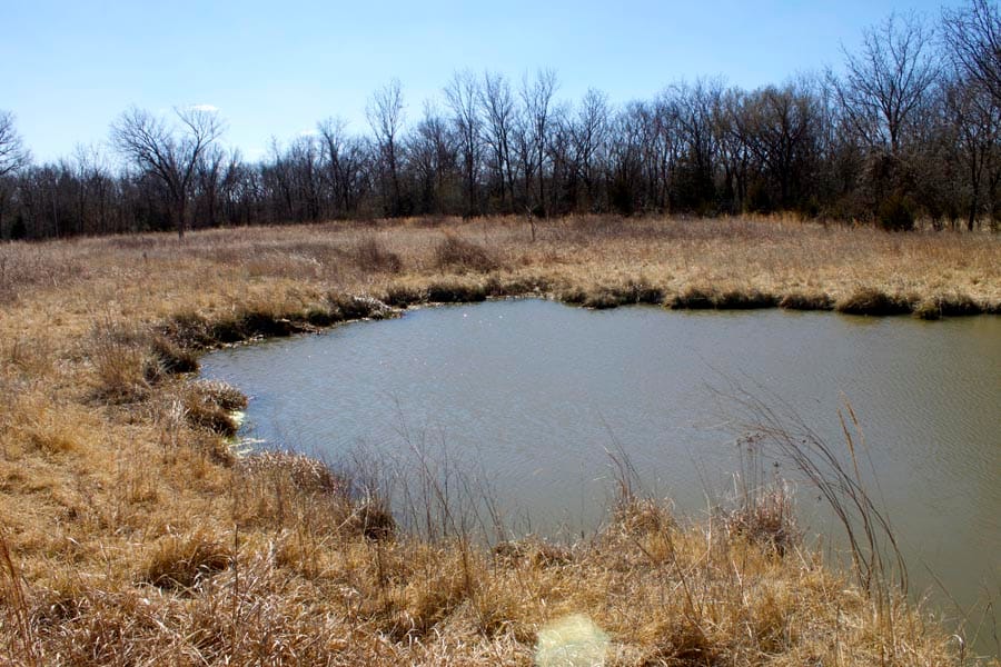 Cowboy Meadows Tract 14 photo 3