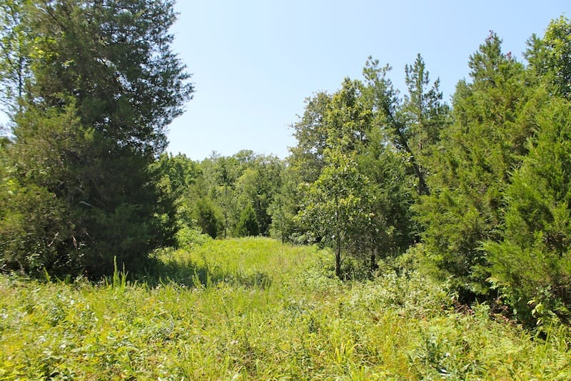 Green Mountain Ranch Tract 34 photo 2