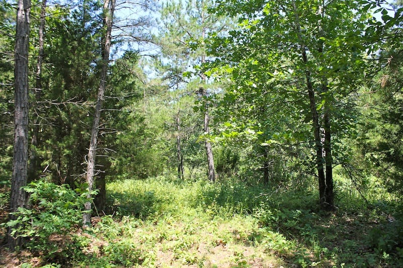 Green Mountain Ranch Tract 34 photo 7