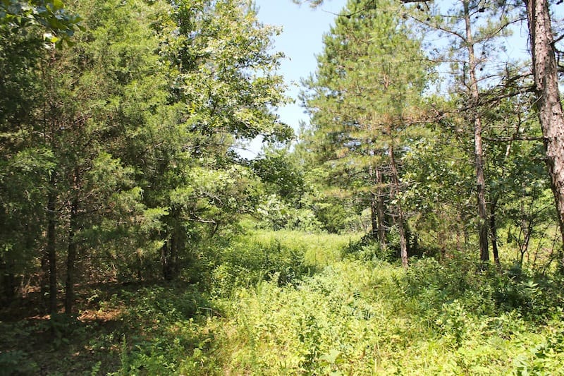 Green Mountain Ranch Tract 34 photo 8