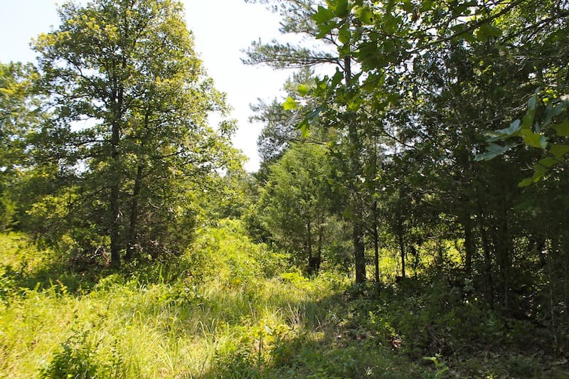 Green Mountain Ranch Tract 34 photo 9