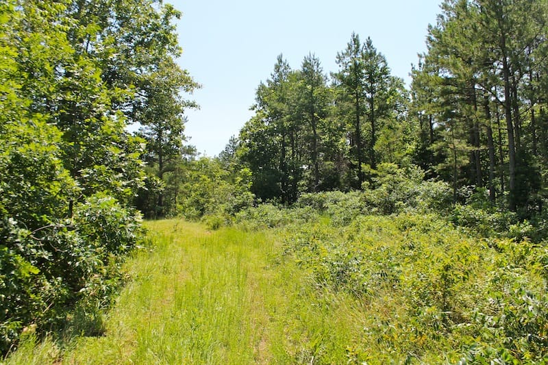 Green Mountain Ranch Tract 34 photo 11