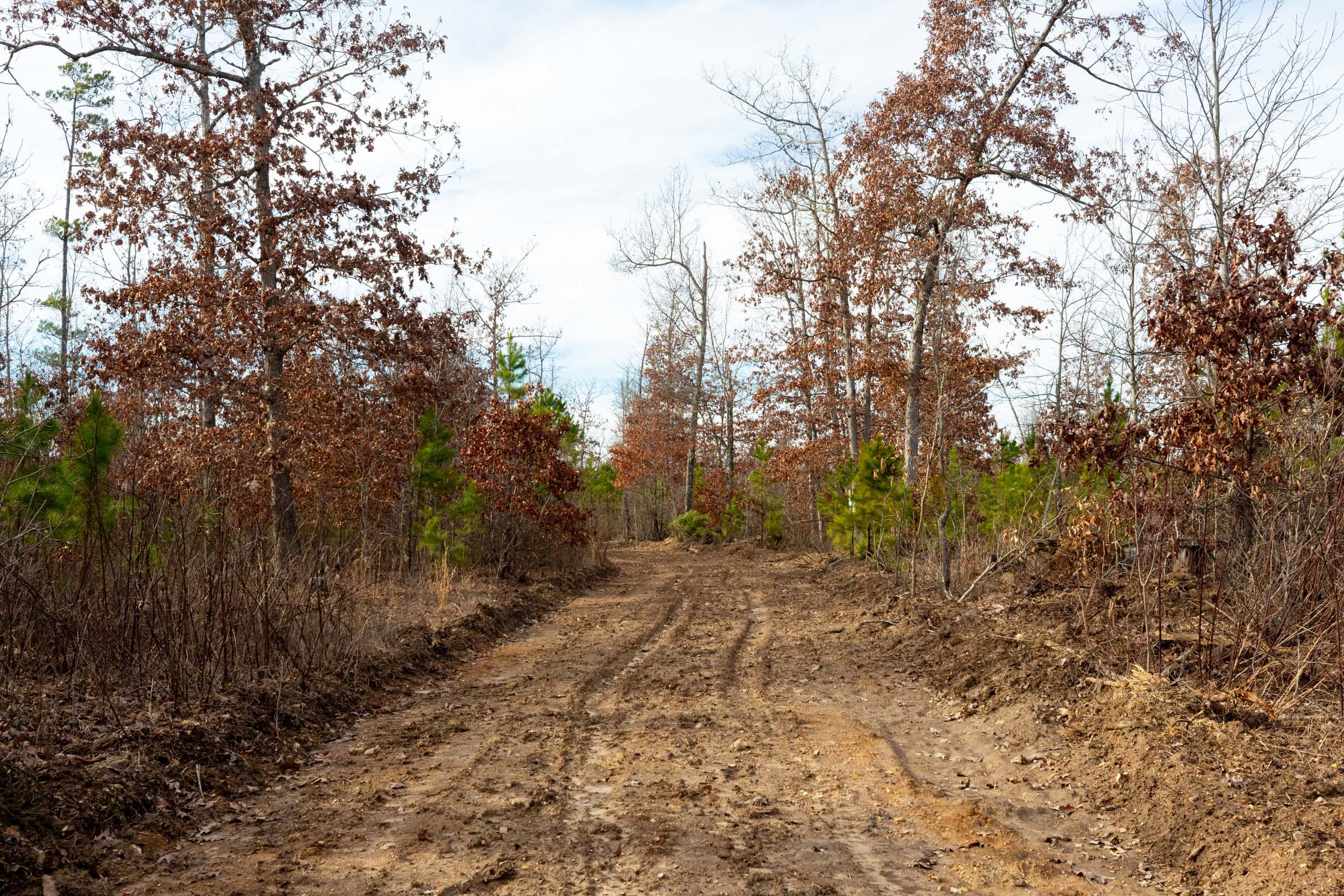 Windy Ridge Tract 4 photo 1