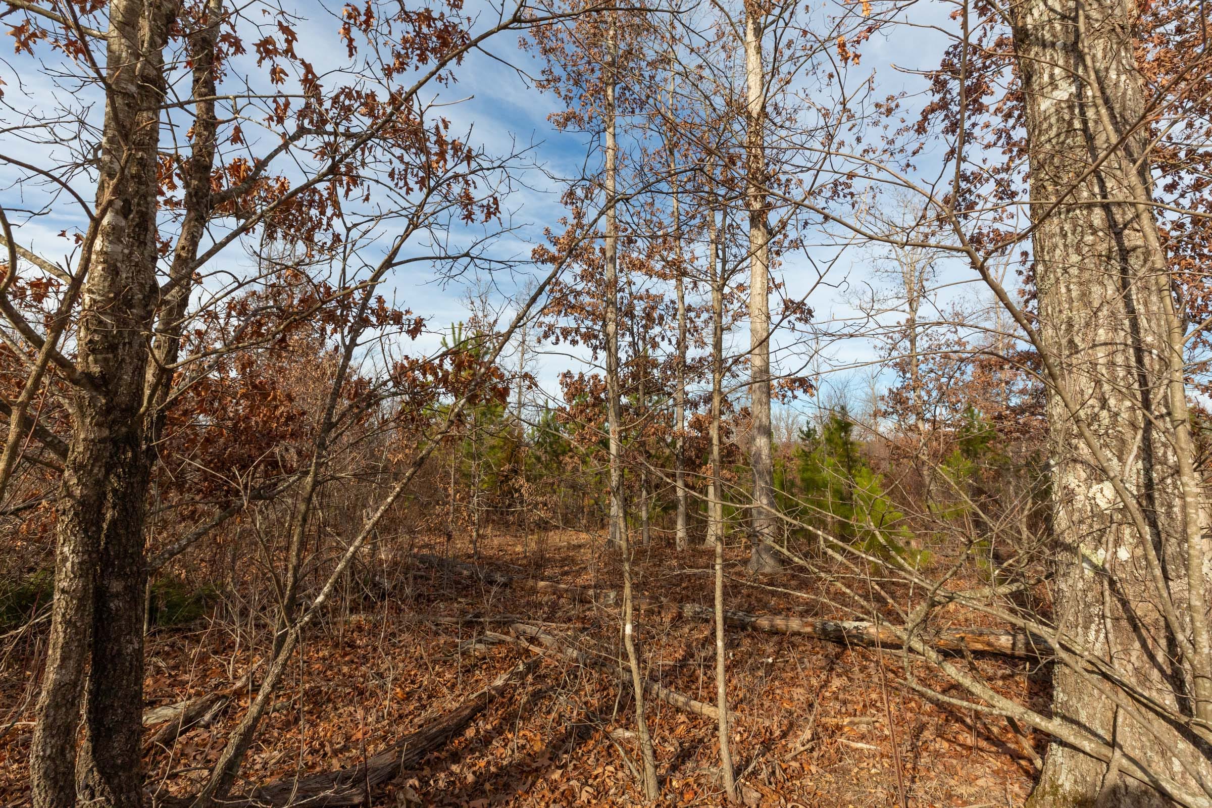 Windy Ridge Tract 4 photo 10
