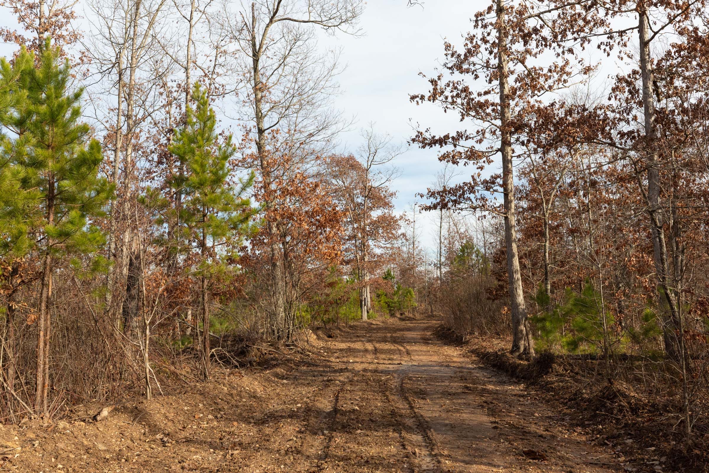 Windy Ridge Tract 4 photo 5