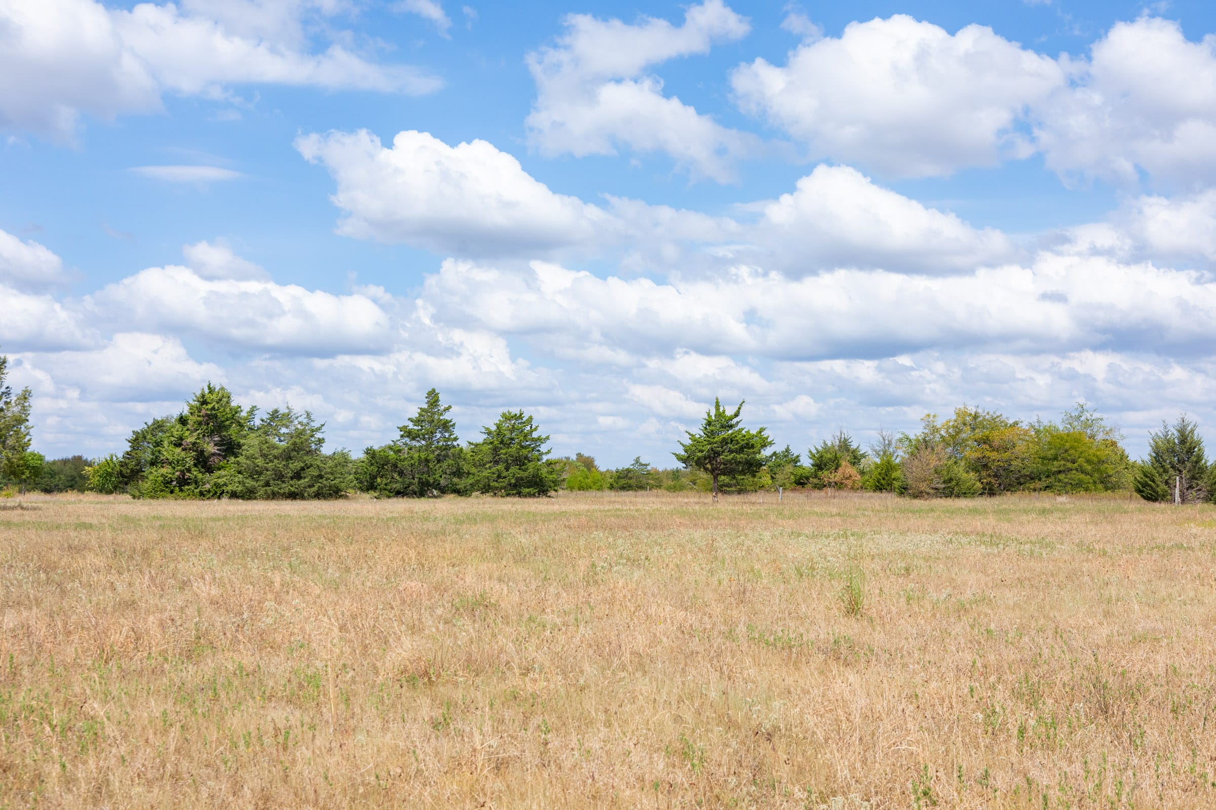Wildflower Reserve Tract 4 photo 1