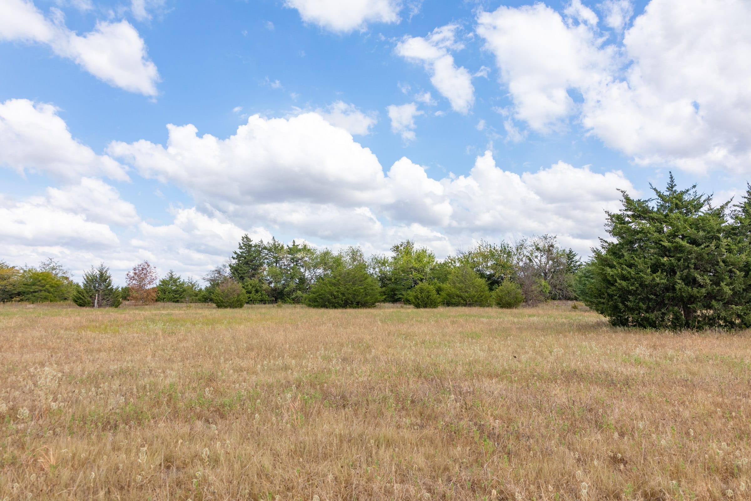 Wildflower Reserve Tract 4 photo 5