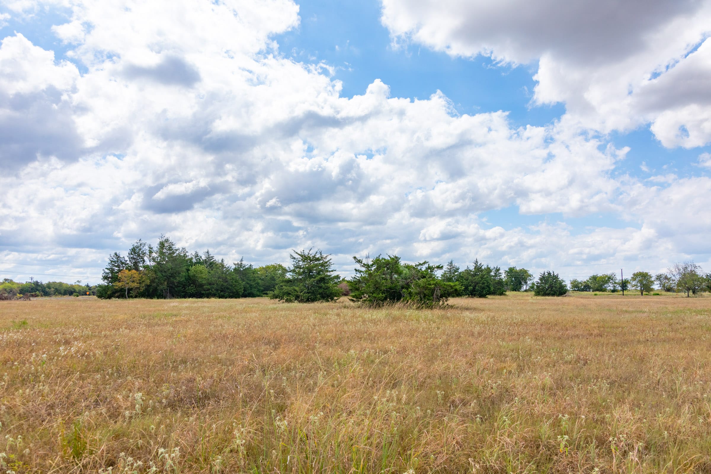 Wildflower Reserve Tract 4 photo 4