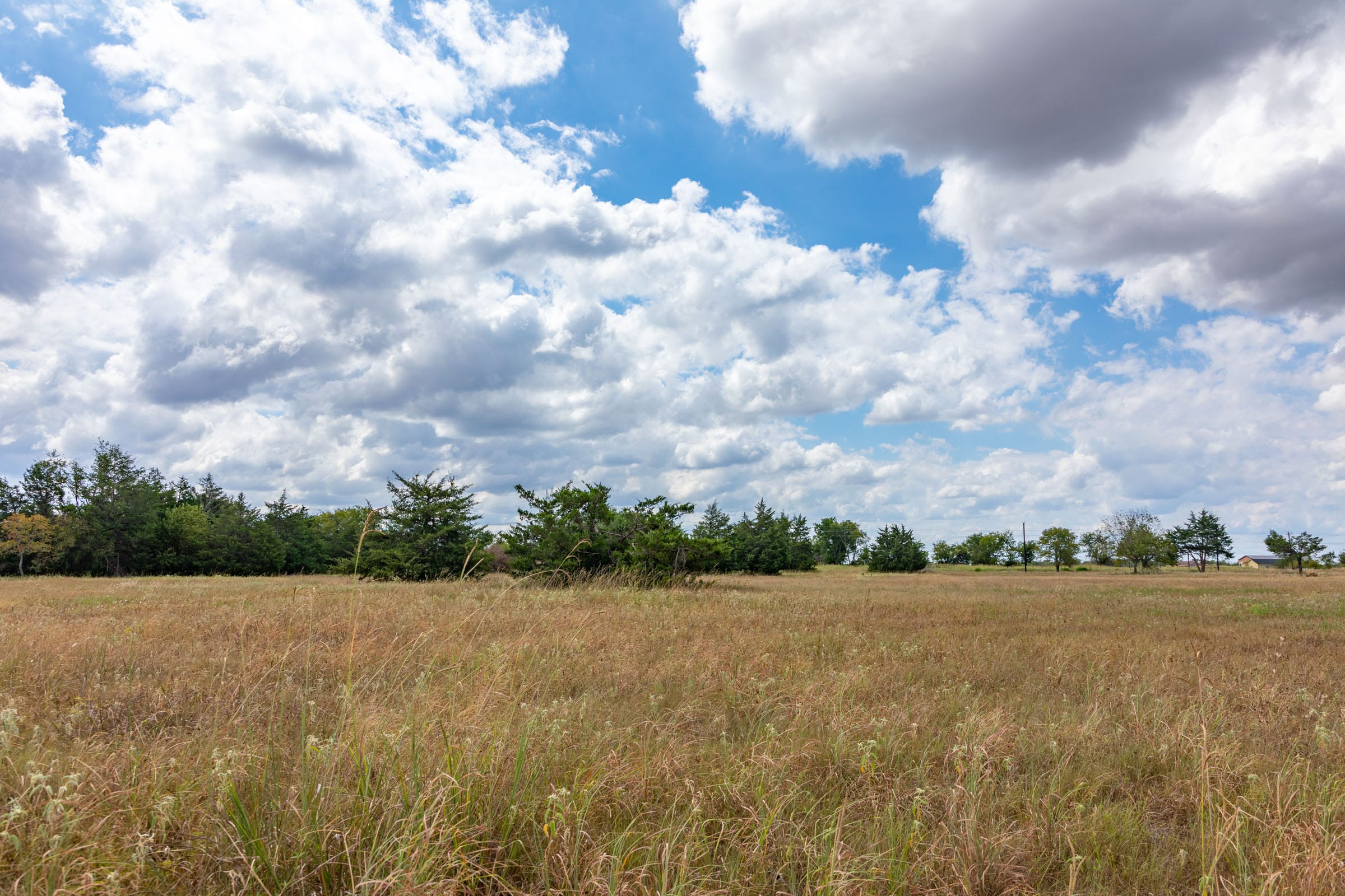 Wildflower Reserve Tract 4 photo 11