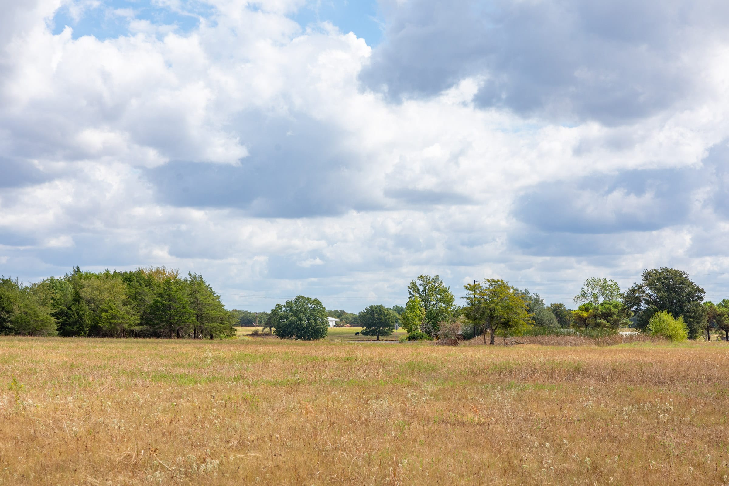 Wildflower Reserve Tract 4 photo 10