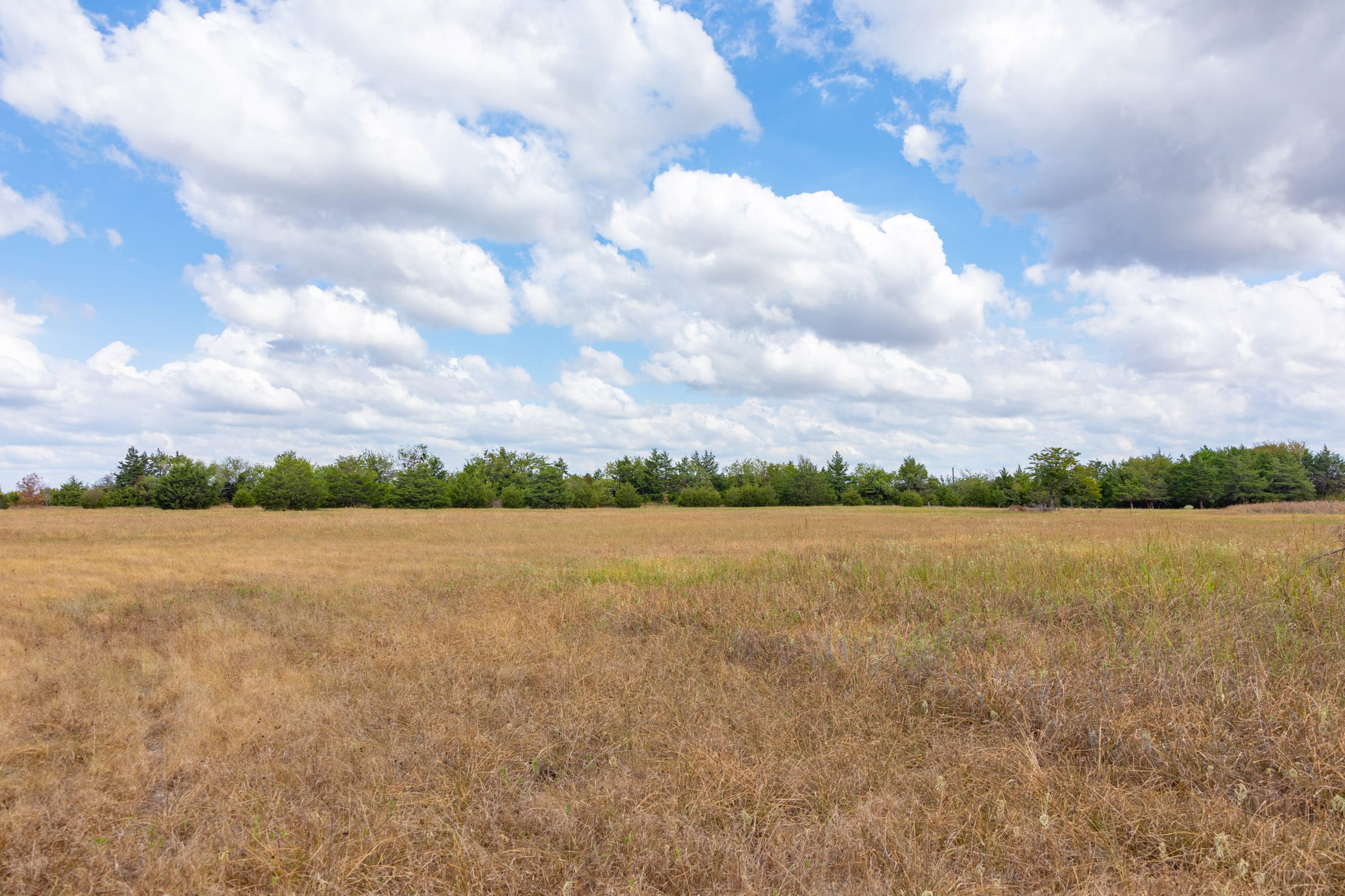 Wildflower Reserve Tract 4 photo 14