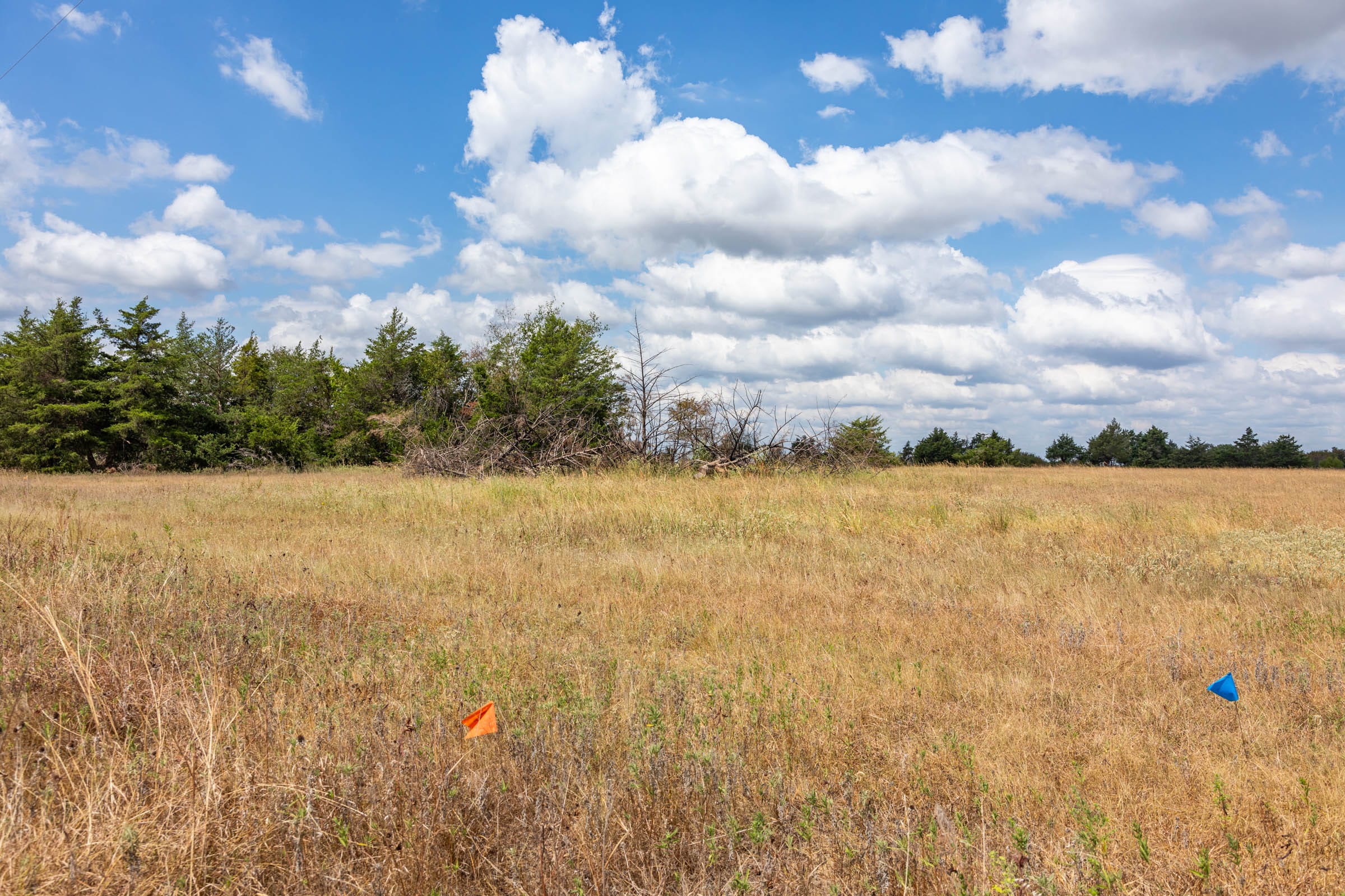 Wildflower Reserve Tract 4 photo 17