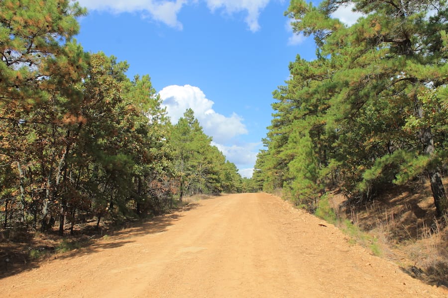 Indian Ridge – Phase III Tract 93 photo 2