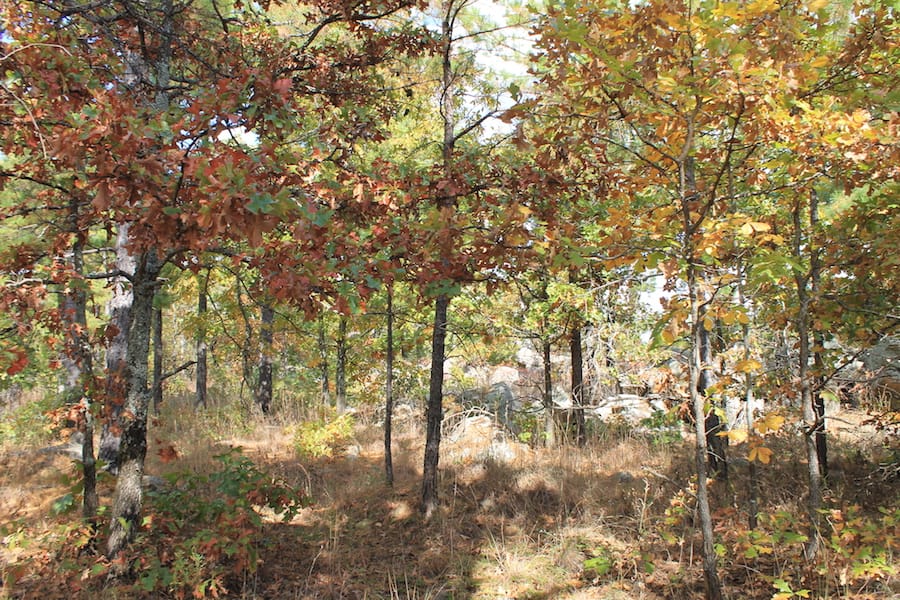 Indian Ridge – Phase III Tract 93 photo 4