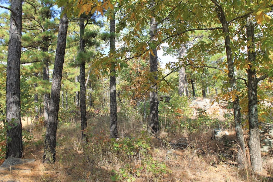 Indian Ridge – Phase III Tract 93 photo 5
