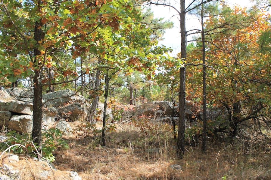 Indian Ridge – Phase III Tract 93 photo 6