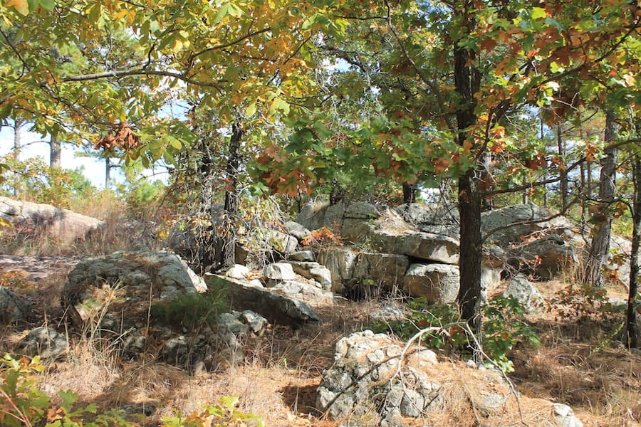 Indian Ridge – Phase III Tract 93 photo 7