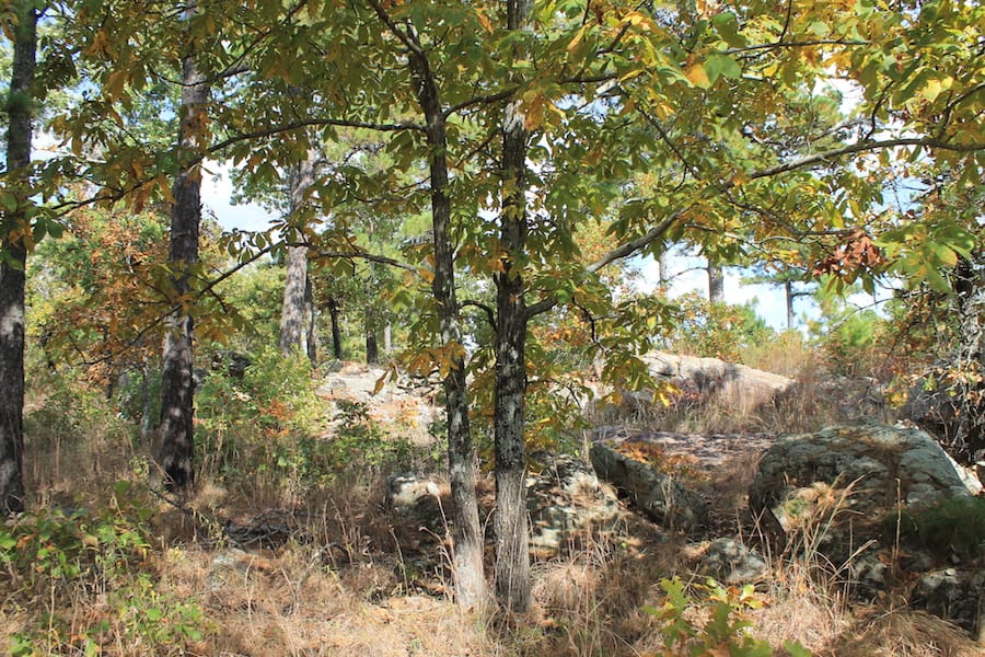 Indian Ridge – Phase III Tract 93 photo 8