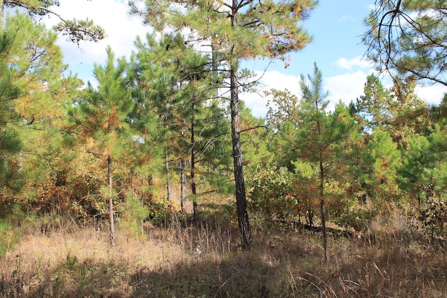 Indian Ridge – Phase III Tract 93 photo 10