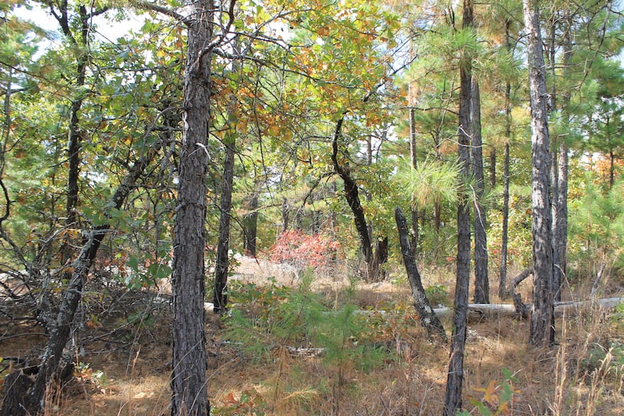 Indian Ridge – Phase III Tract 93 photo 12