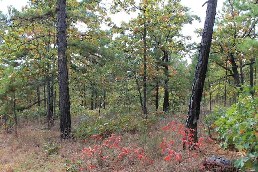 Indian Ridge – Phase III Tract 93 photo 15