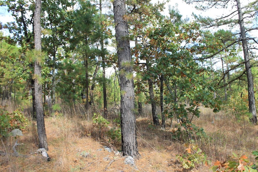 Indian Ridge – Phase III Tract 93 photo 16