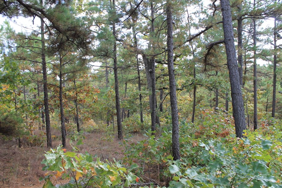 Indian Ridge – Phase III Tract 93 photo 18