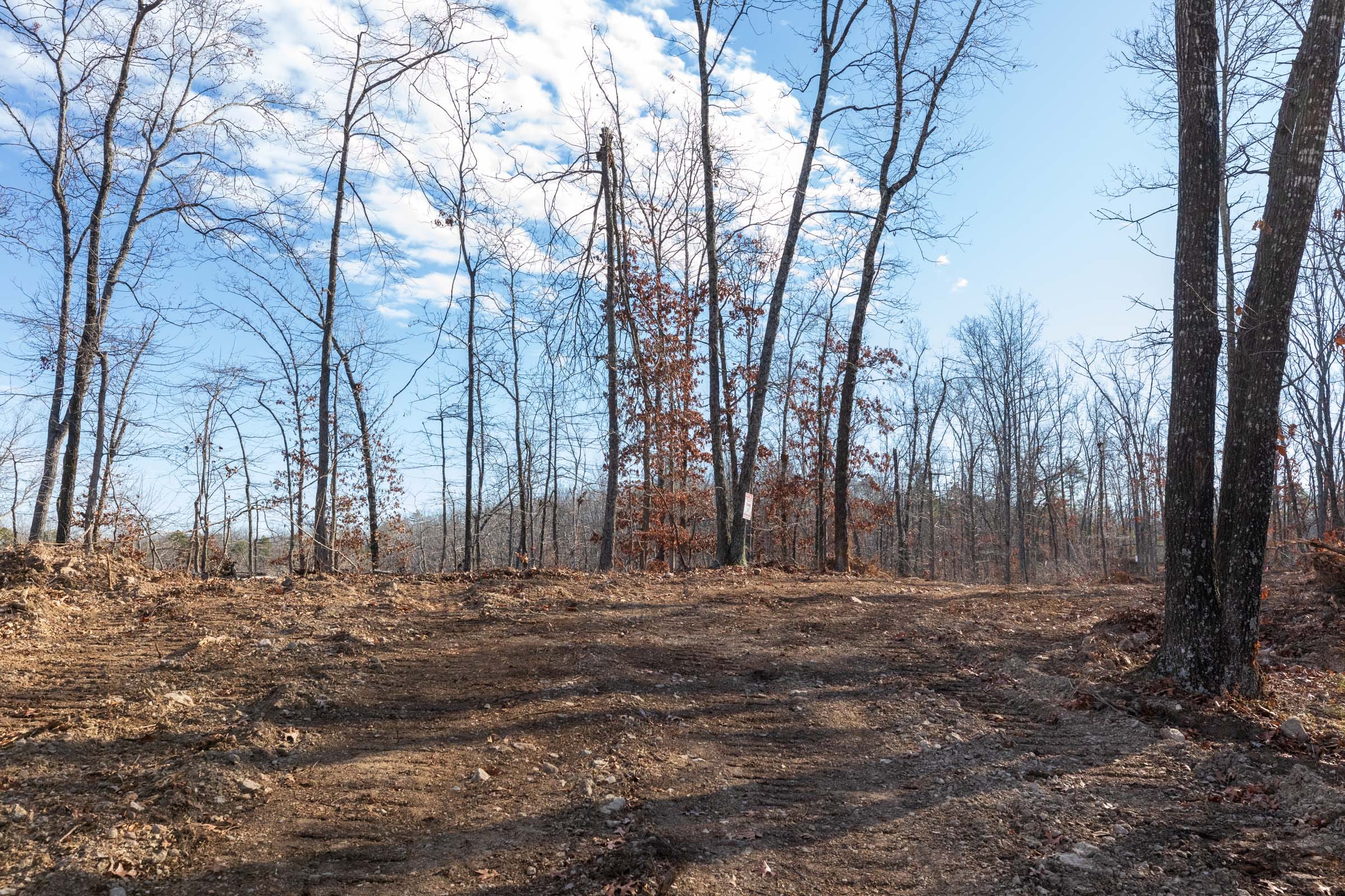 Cypress Ridge Tract 40 photo 1