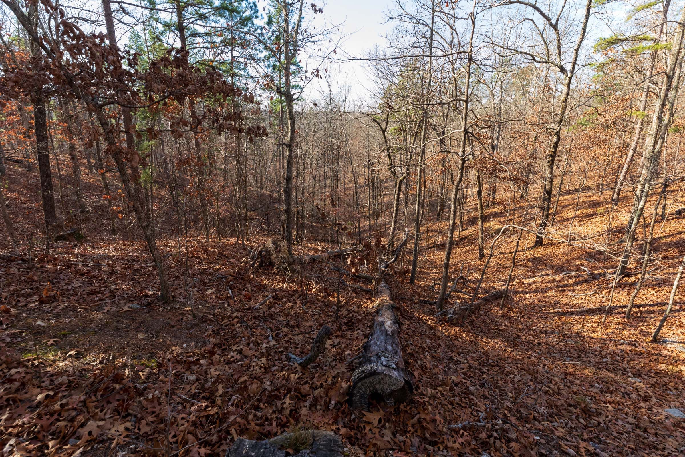 Cypress Ridge Tract 40 photo 9