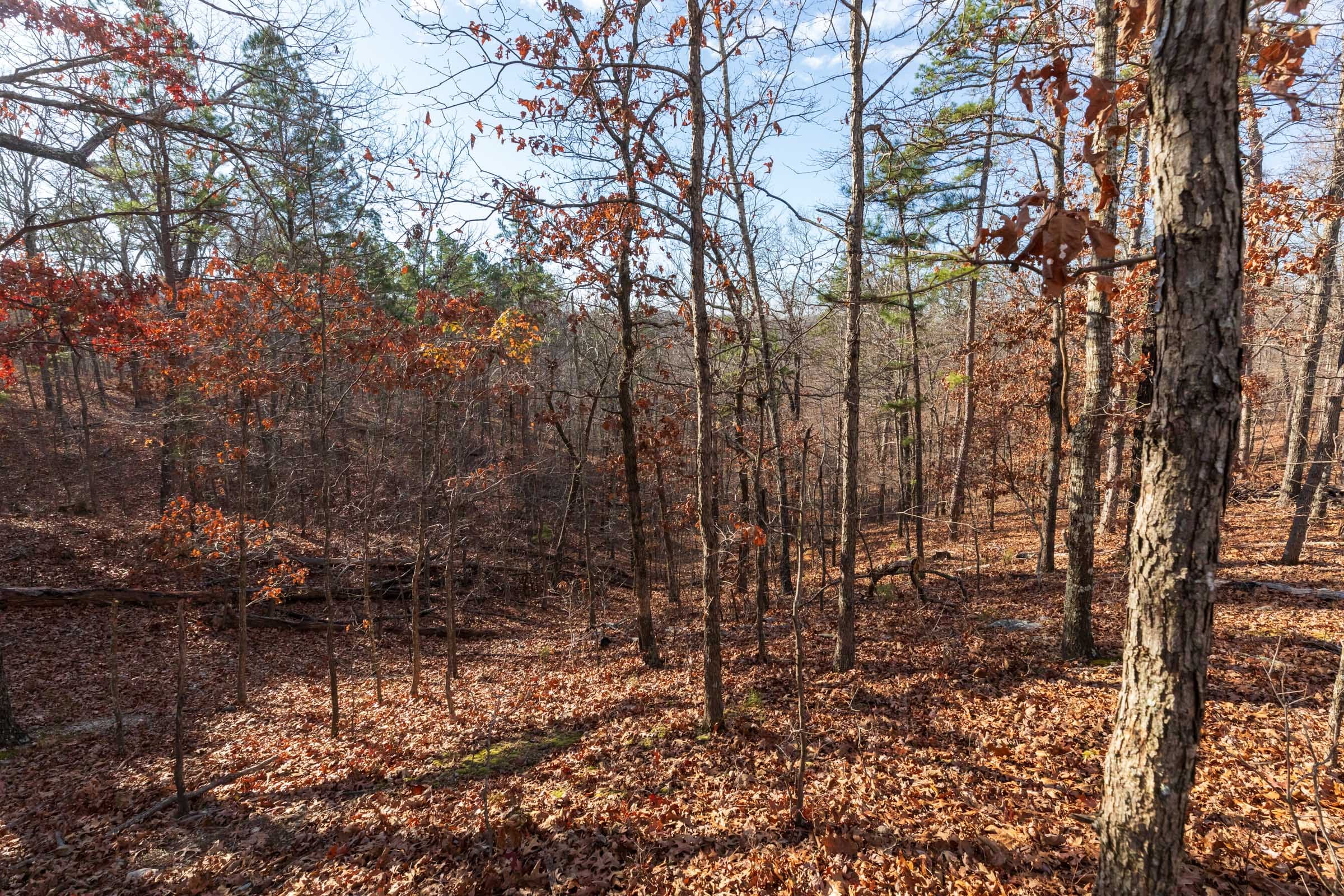 Cypress Ridge Tract 40 photo 7