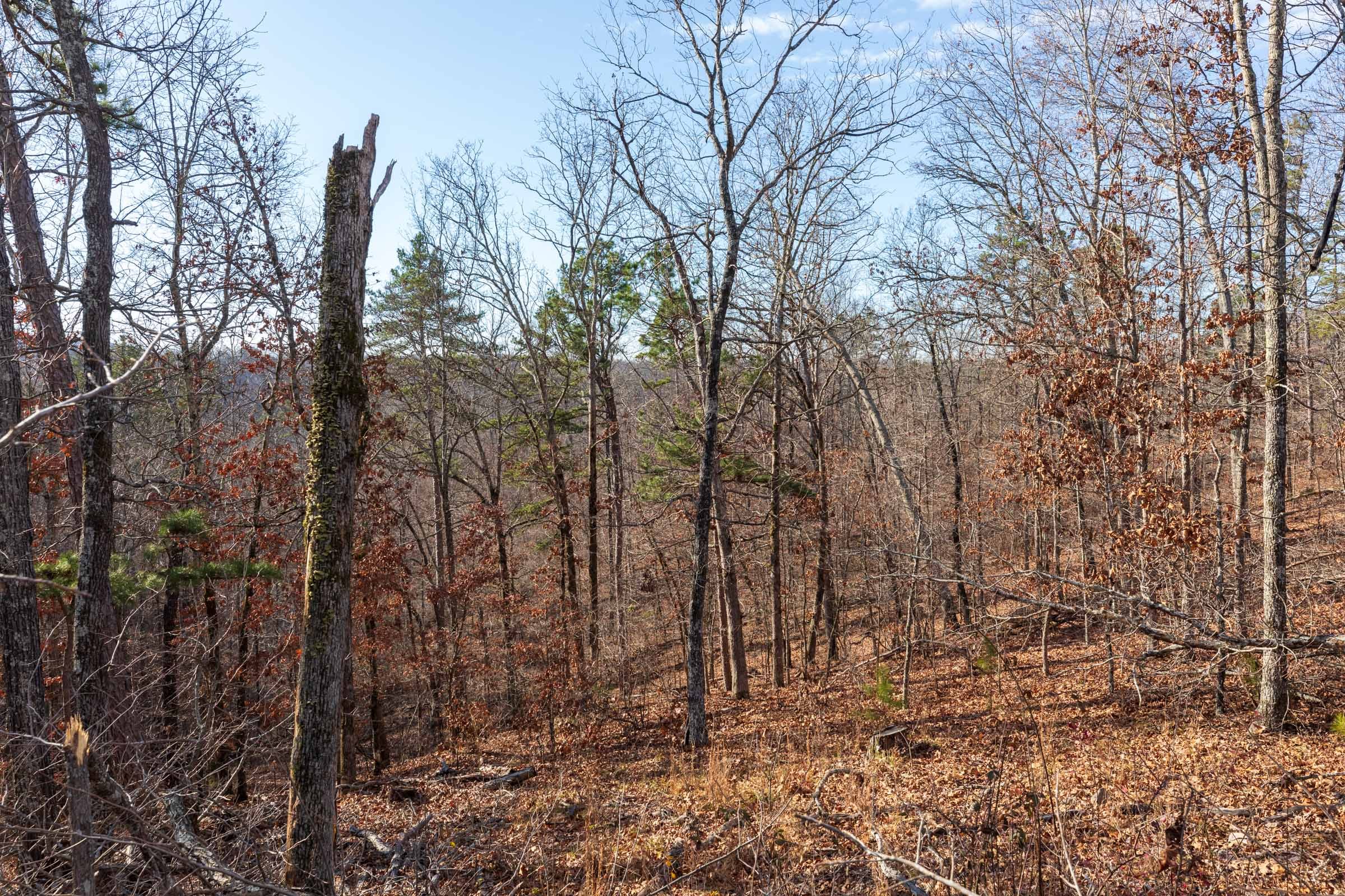 Cypress Ridge Tract 40 photo 3