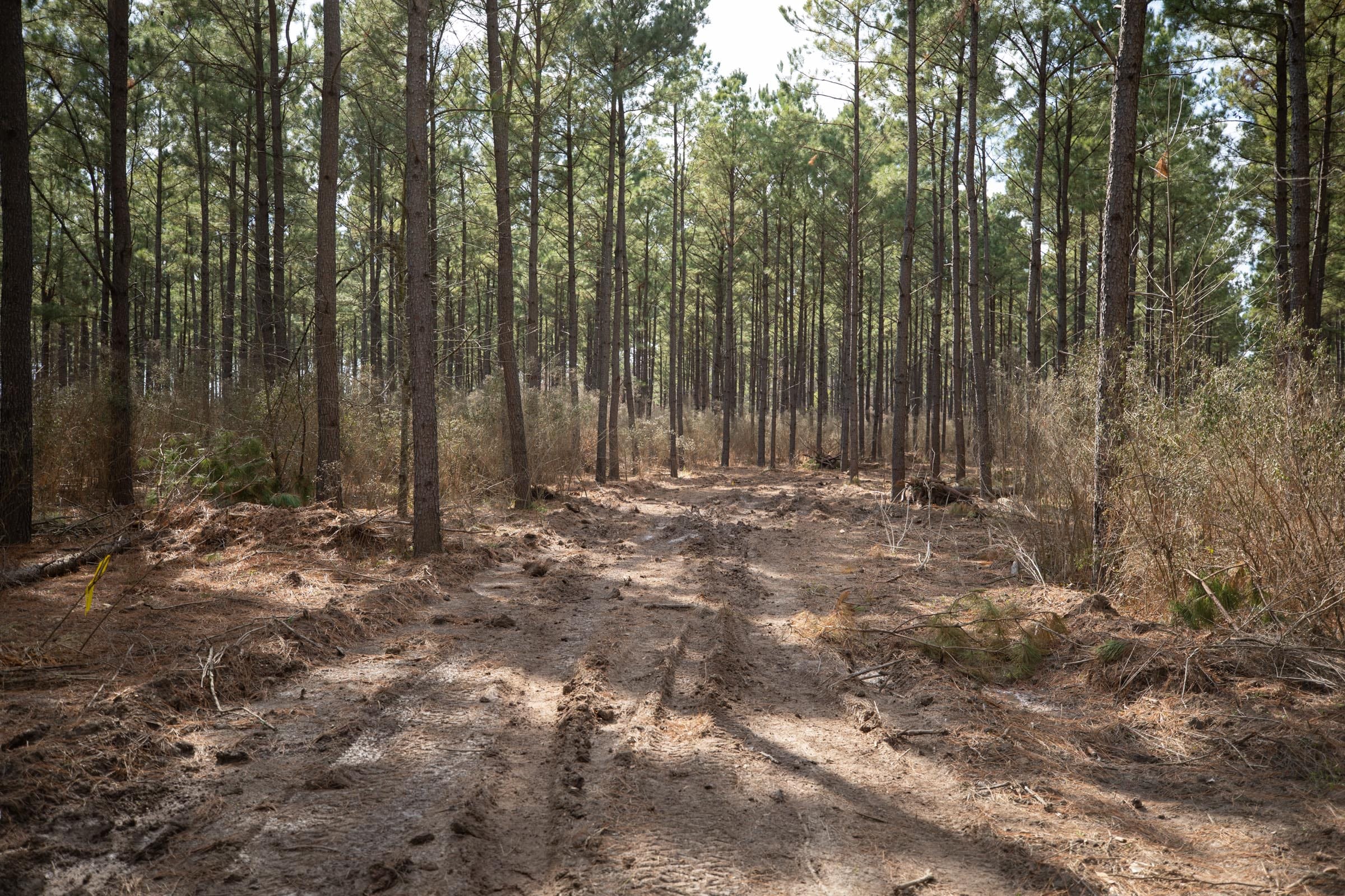 Wishing Star Ranch Tract 60 photo 1