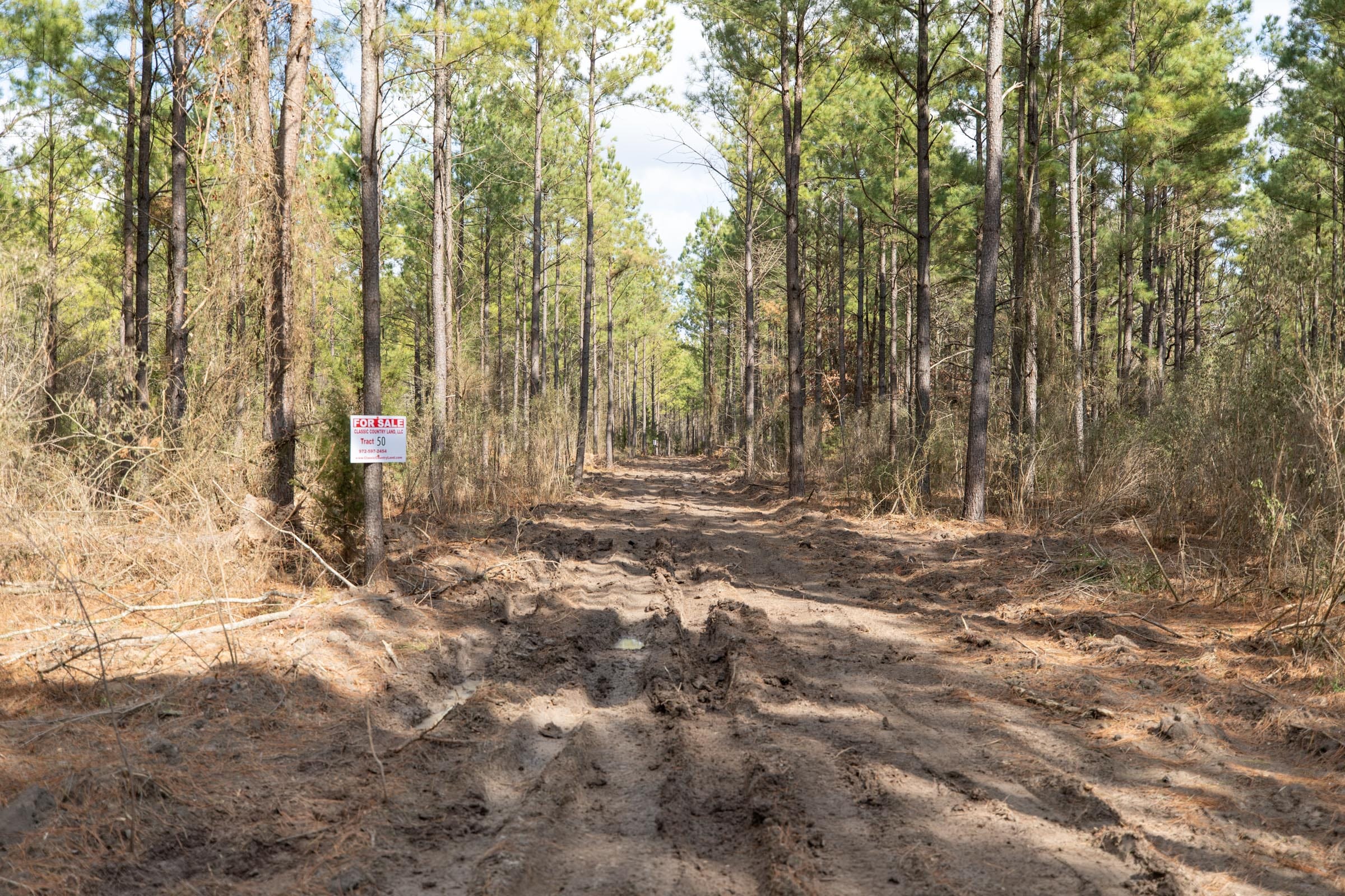 Wishing Star Ranch Tract 60 photo 2