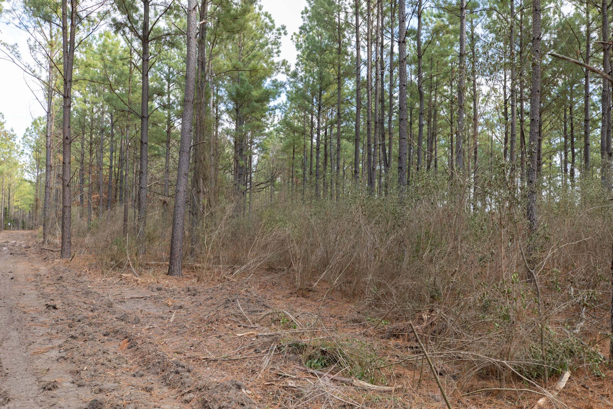 Wishing Star Ranch Tract 60 photo 6
