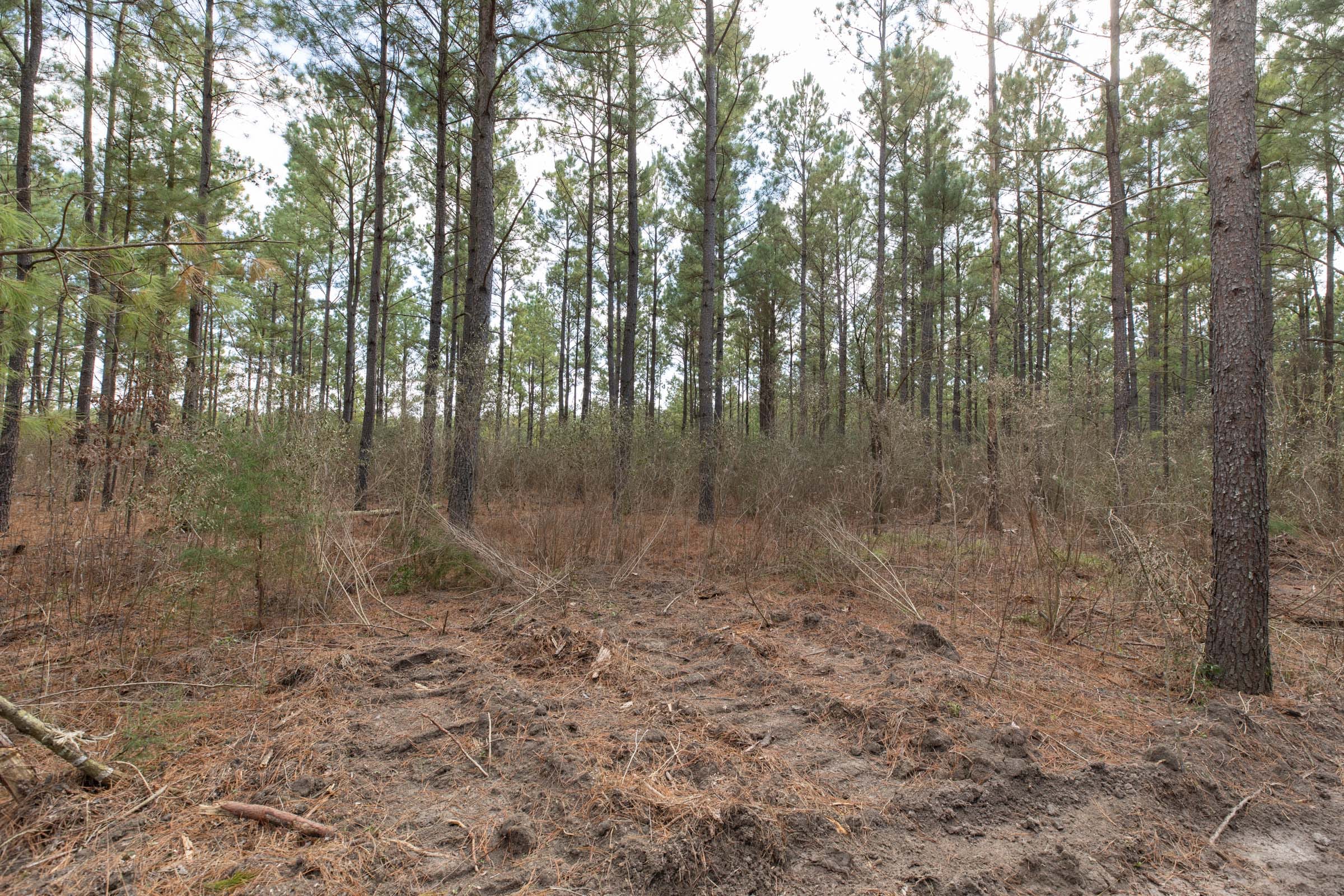 Wishing Star Ranch Tract 60 photo 8