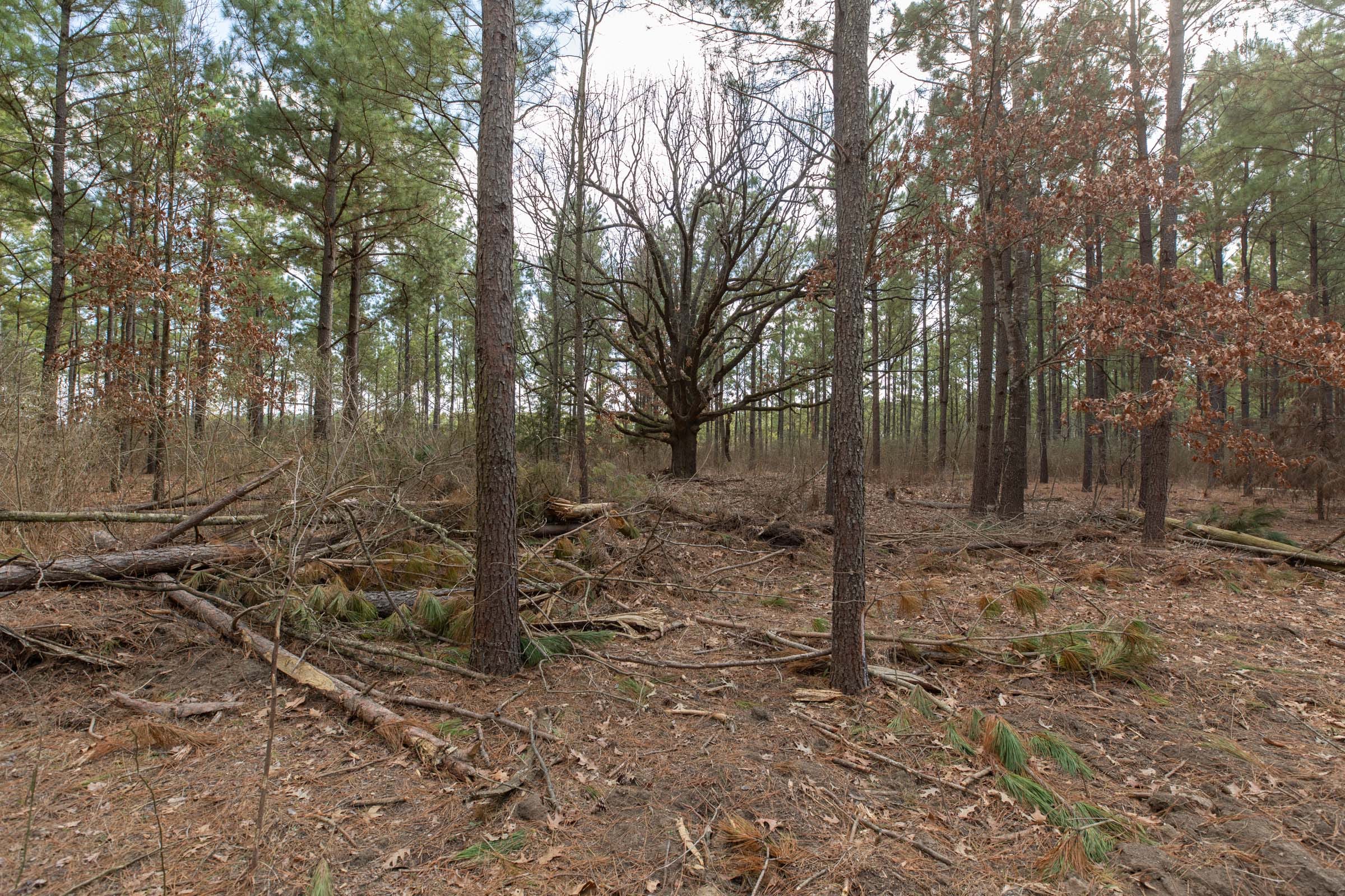 Wishing Star Ranch Tract 60 photo 10