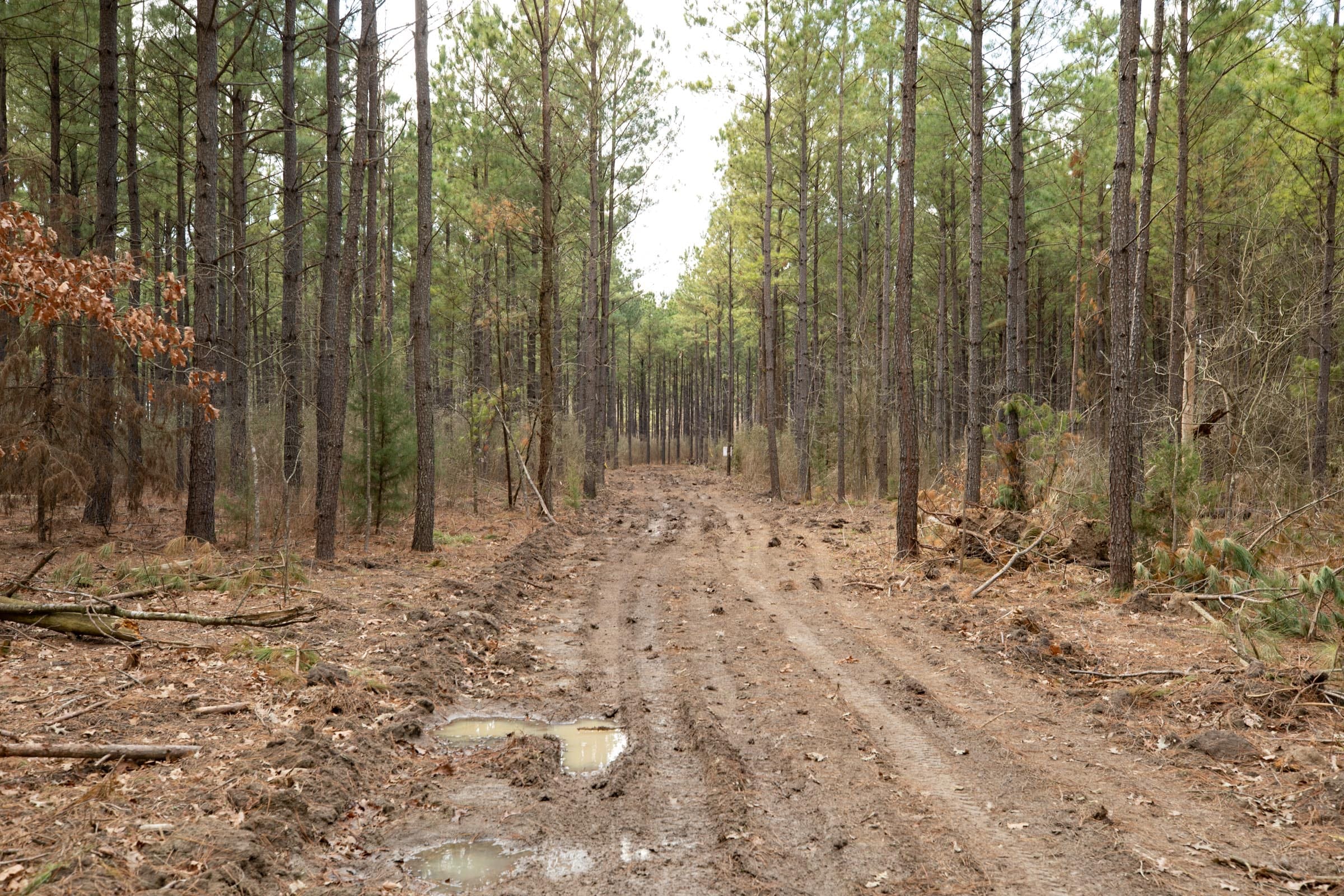 Wishing Star Ranch Tract 60 photo 11