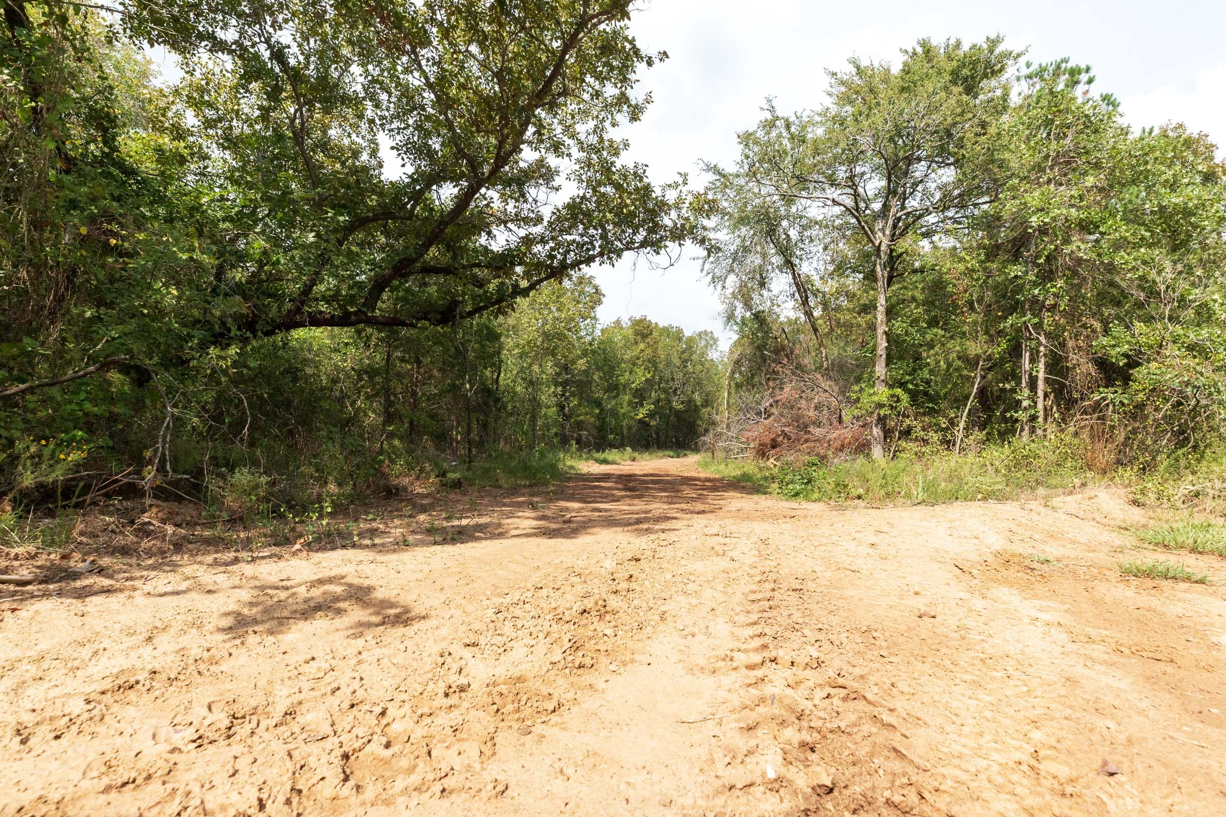 Stone Bridge Phase V Tract 410 photo 8