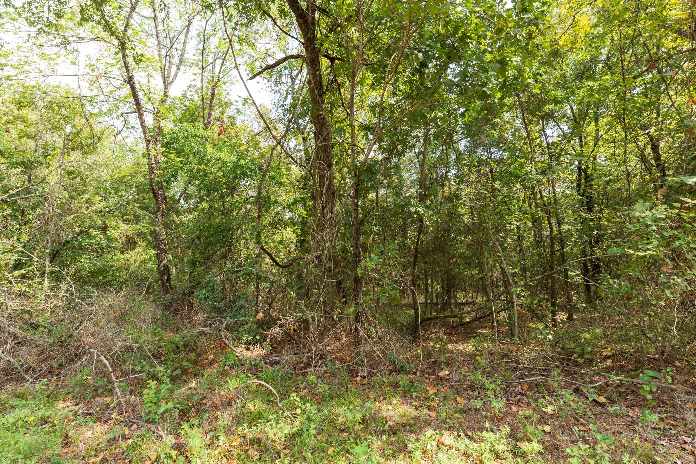 Stone Bridge Phase V Tract 410 photo 5