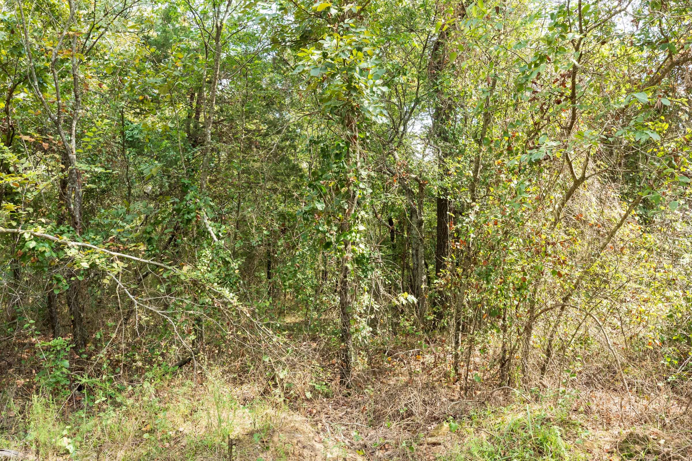 Stone Bridge Phase V Tract 410 photo 10