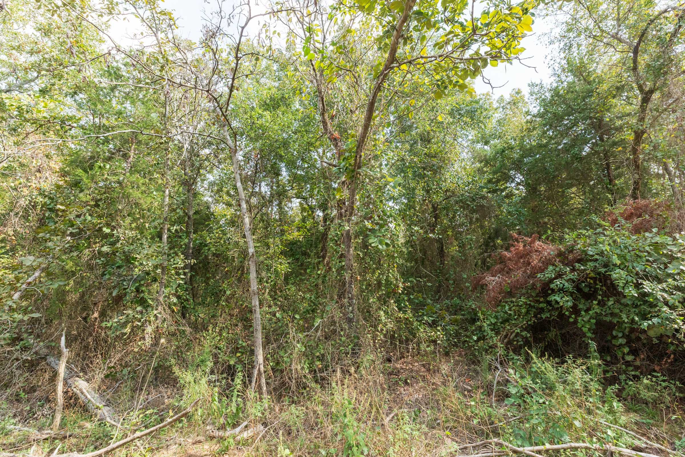 Stone Bridge Phase V Tract 410 photo 12
