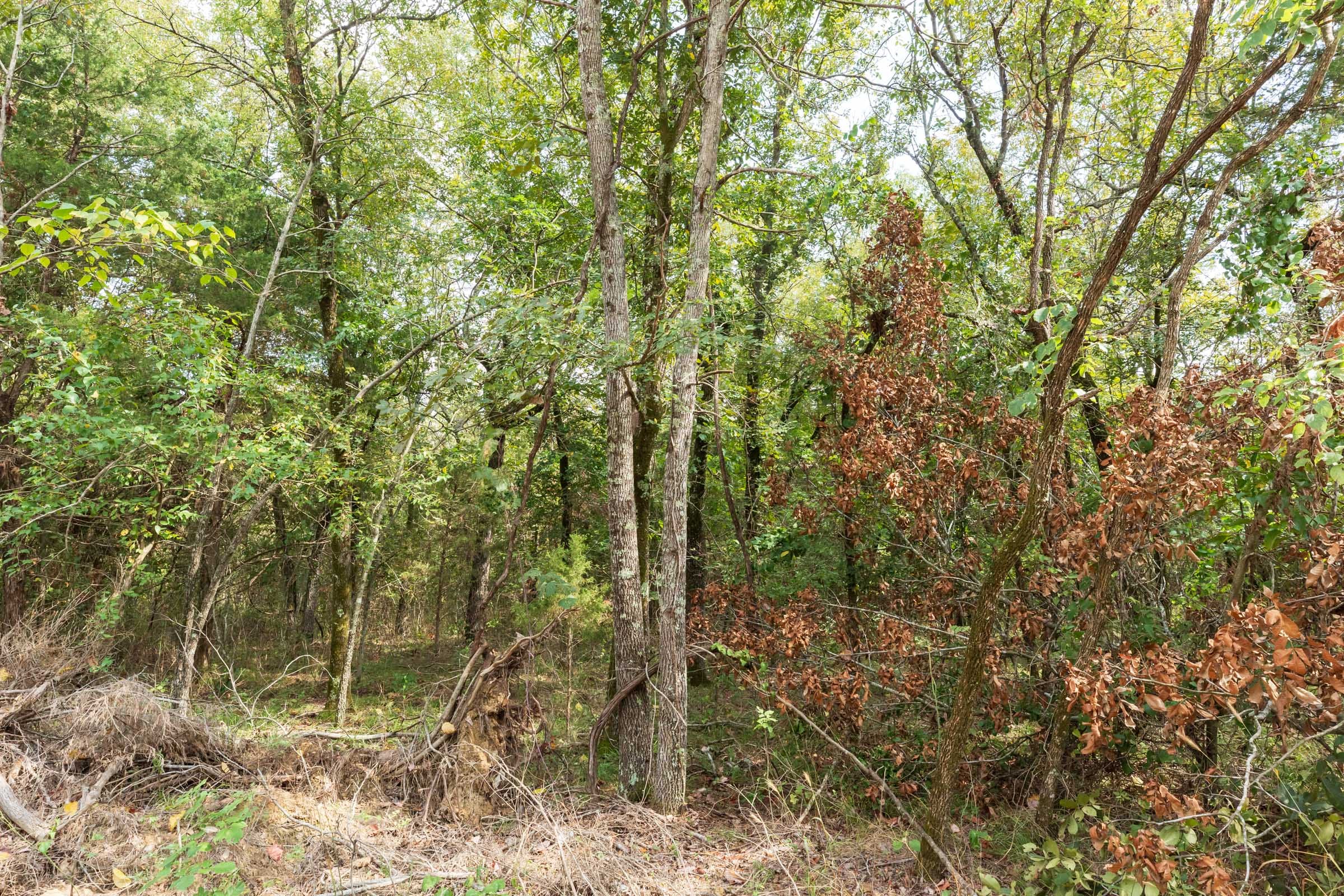 Stone Bridge Phase V Tract 410 photo 11