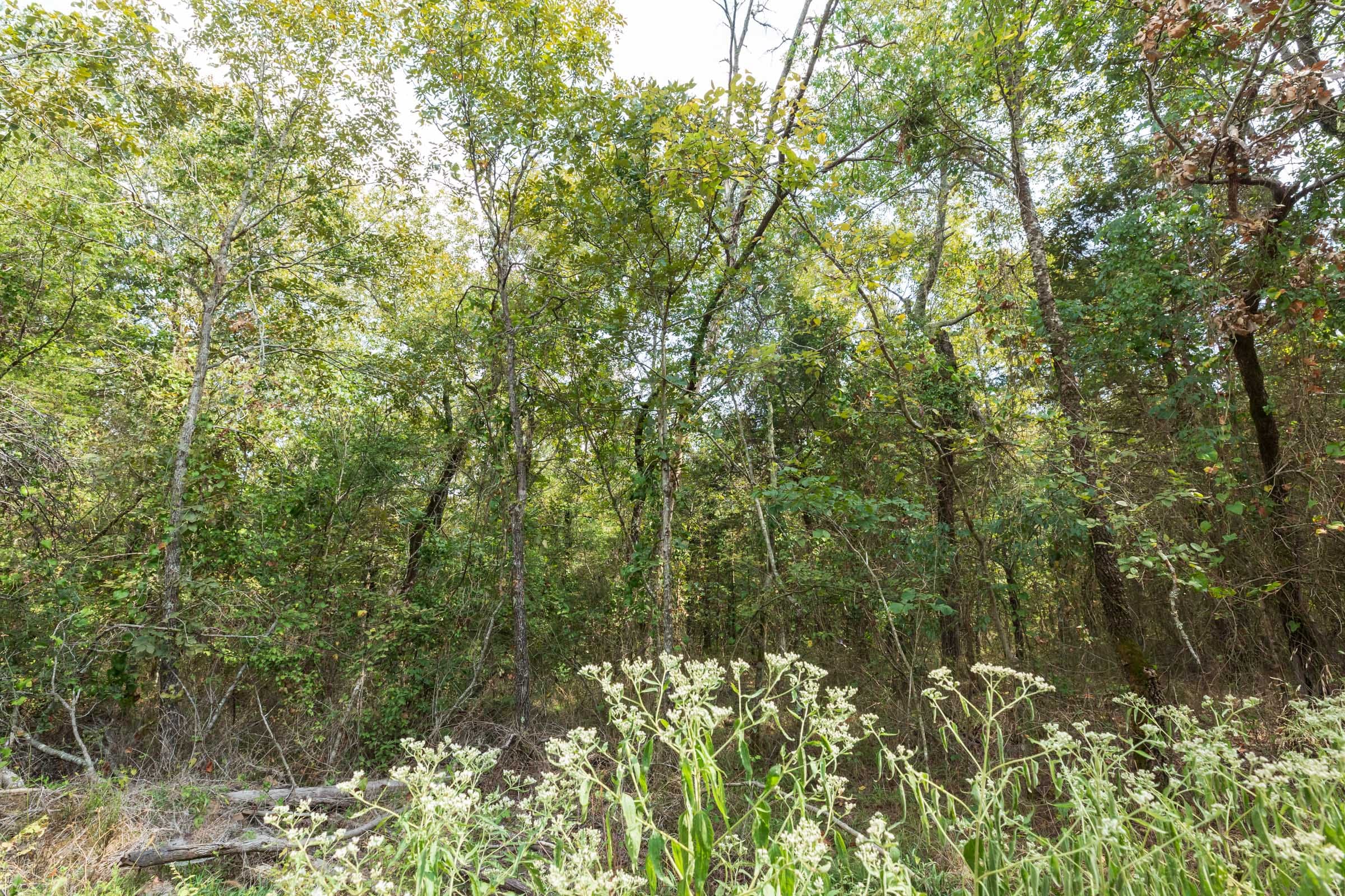 Stone Bridge Phase V Tract 410 photo 13