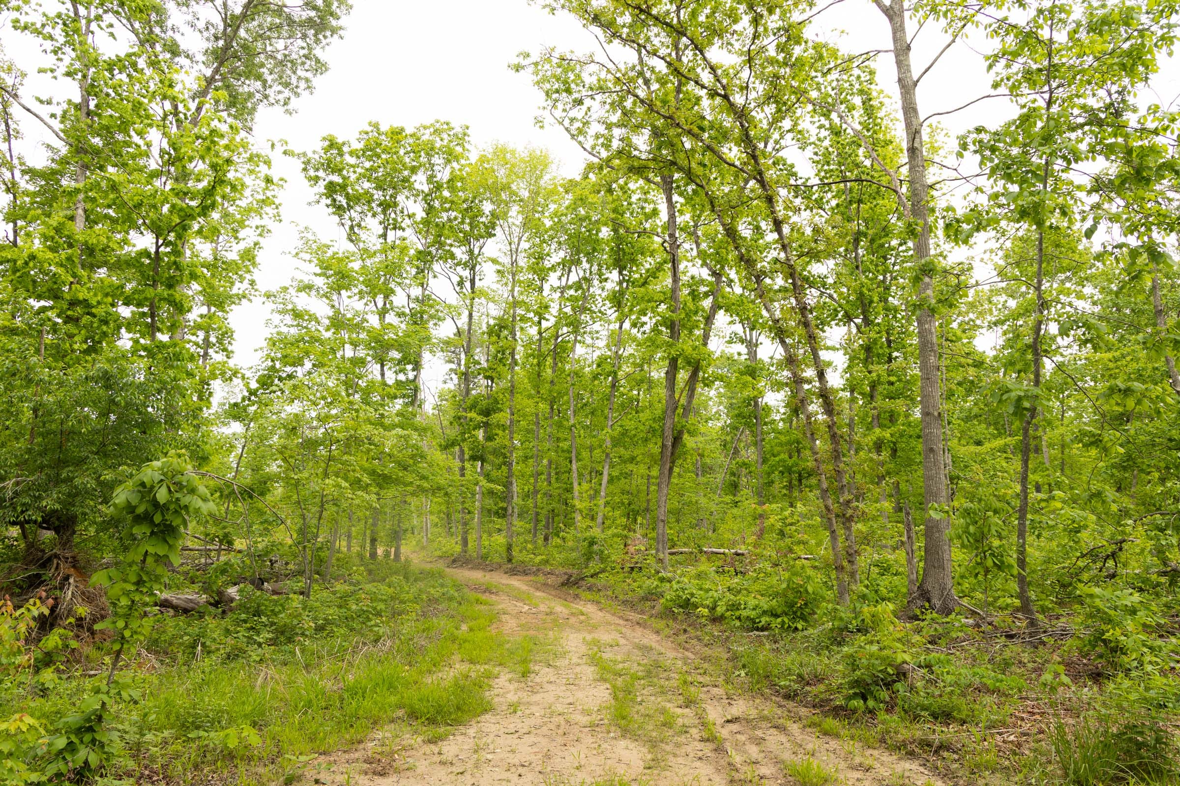 Stardust Estates Tract 21 photo 6