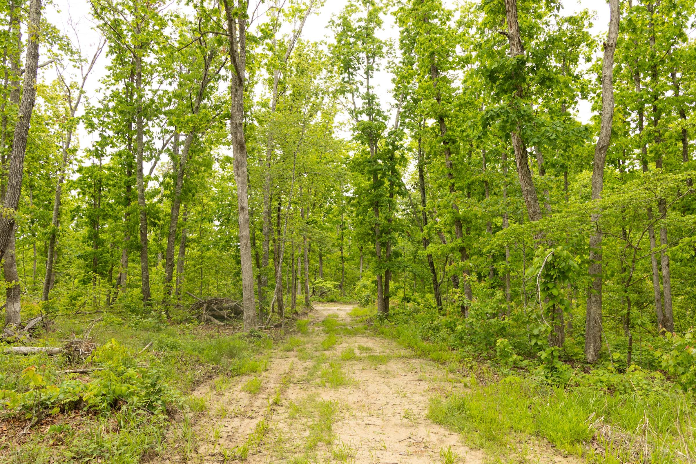 Stardust Estates Tract 21 photo 10