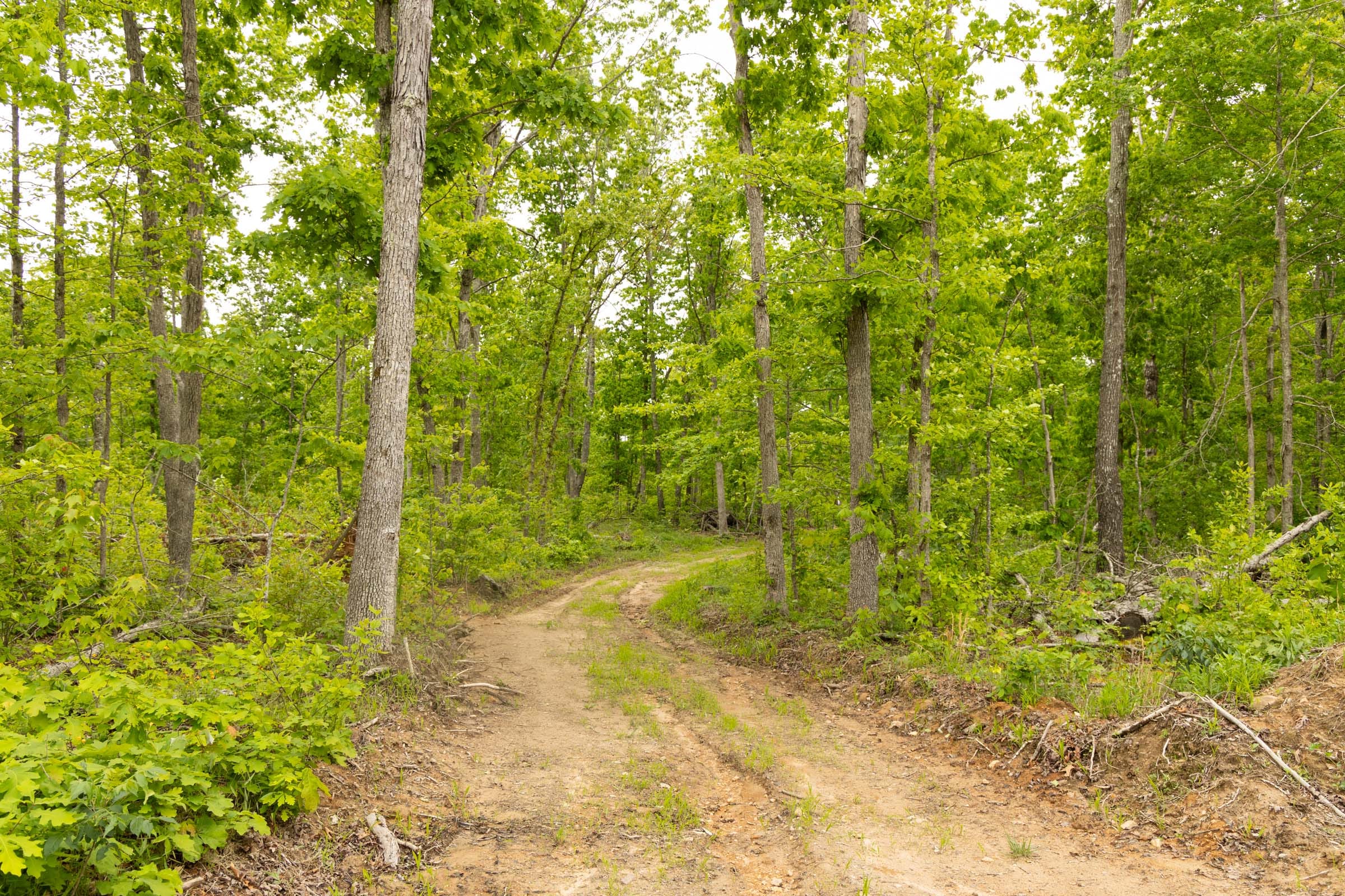Stardust Estates Tract 21 photo 2