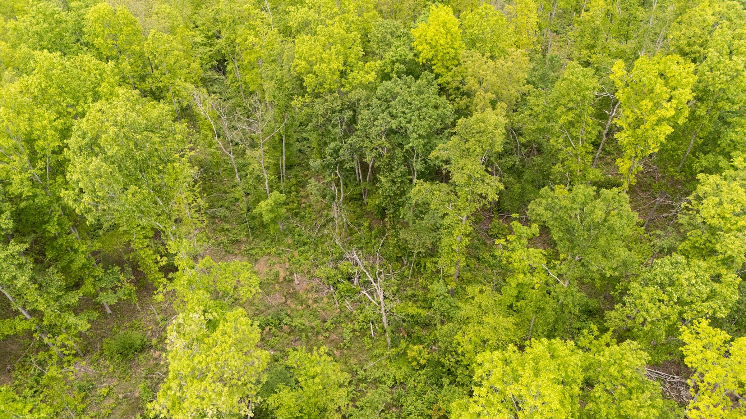 Stardust Estates Tract 21 photo 13