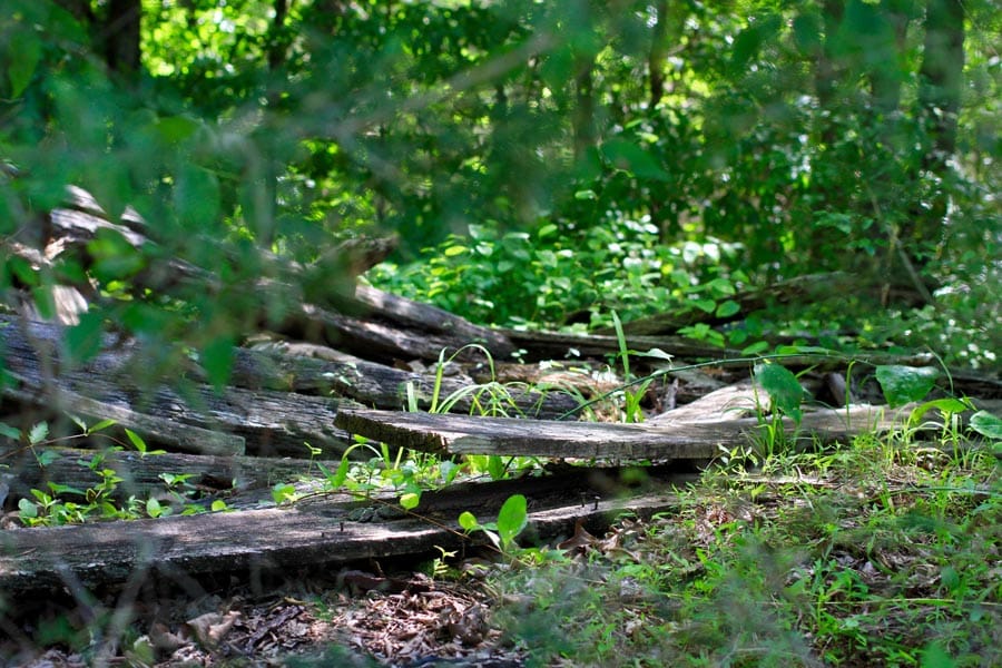 Hickory Hill Ranch Tract 6 photo 6