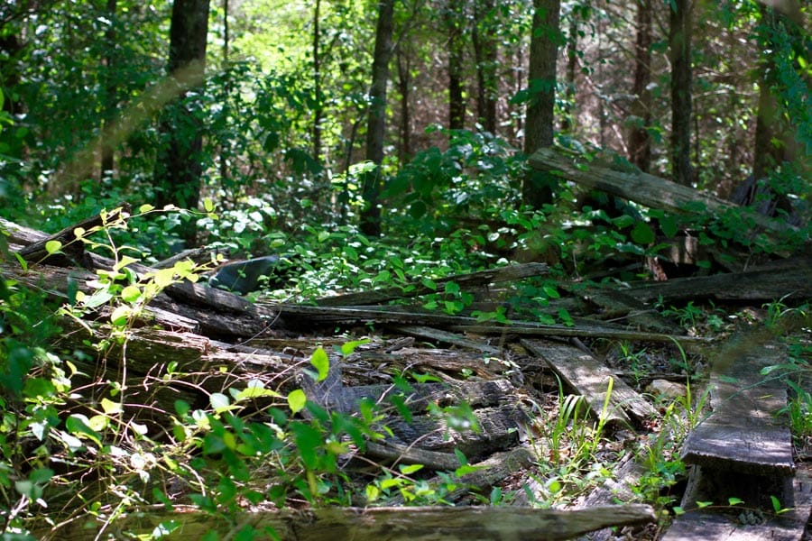 Hickory Hill Ranch Tract 6 photo 8