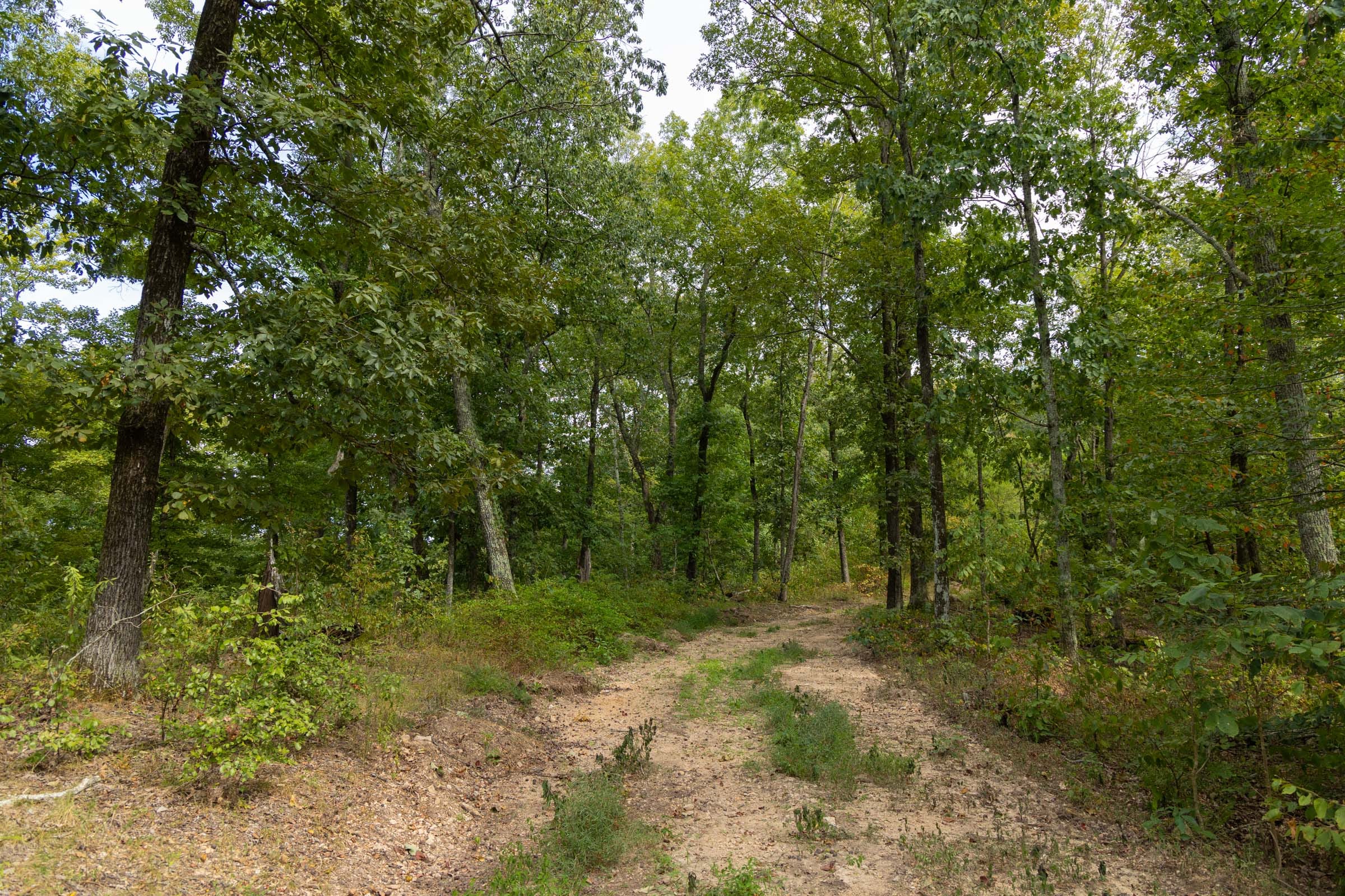 Big White Oak Tract 146 photo 10